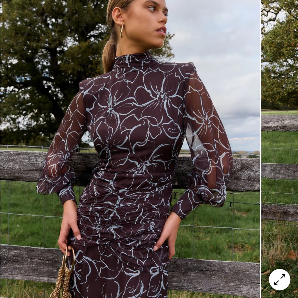 Elegant Floral Lady Pipa Dress NWT